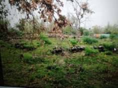 Foto terreno agricolo