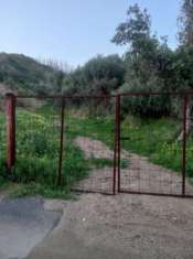 Foto Terreno agricolo