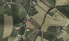 Foto Terreno Agricolo a Settecolli - Tortoreto Alto (TE)