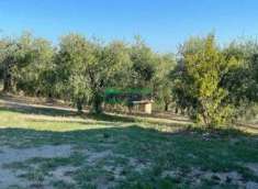 Foto TERRENO AGRICOLO C/DA BARCO
