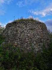 Foto Terreno Agricolo con Antico Trullo