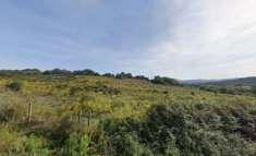 Foto Terreno Agricolo con Progetto di Casa Colonica � Arzachena/Luogosanto