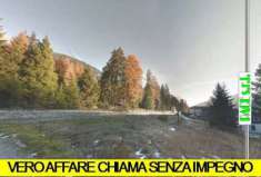 Foto TERRENO AGRICOLO CROCE DI SALVEN BORNO