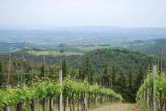 Foto TERRENO AGRICOLO di 150000 mq (GAMBASSI TERME) rif. G 961