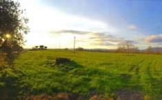 Foto TERRENO AGRICOLO di 150000 mq (PITIGLIANO) rif. PITIANTO