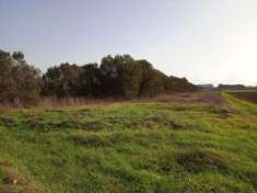 Foto TERRENO AGRICOLO di 250 mq (CAMPIGLIA MARITTIMA) rif. 139-335-