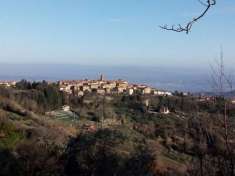 Foto TERRENO AGRICOLO di 3000 mq (GAMBASSI TERME) rif. G 553