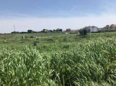 Foto Terreno agricolo di 4 ettari e fabbricato