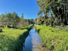 Foto TERRENO AGRICOLO di 6980 mq (PIETRASANTA - Fiumetto) rif. 172/VE