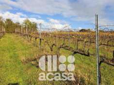 Foto TERRENO AGRICOLO DI COLLINA