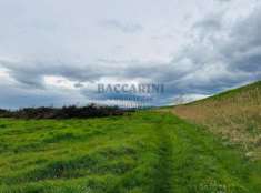 Foto TERRENO AGRICOLO FORLI'  SAN MARTINO DI VILLAFRANCA  VIA MEZZADRI 19