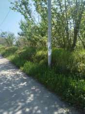 Foto TERRENO AGRICOLO FRONTE STRADA