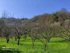 Foto Terreno agricolo in Vendita, 1 Locale, 1 Camera, 14000 mq (RENDE