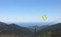 Foto Terreno Agricolo in Vendita, 1 Locale, 1 mq, Seborga