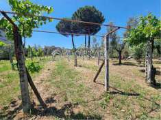 Foto Terreno Agricolo in Vendita, 1 Locale, 1000 mq, Roma (Casilina/