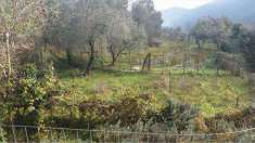 Foto Terreno Agricolo in Vendita, 1 Locale, 10000 mq, Balestrino