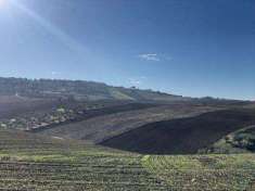 Foto Terreno Agricolo in Vendita, 1 Locale, 10140 mq, Guglionesi