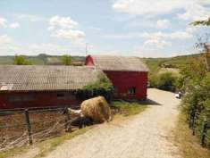 Foto Terreno Agricolo in Vendita, 1 Locale, 106698 mq, Imola