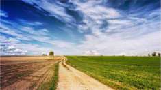 Foto Terreno Agricolo in Vendita, 1 Locale, 11000 mq, Brugine
