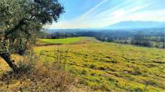 Foto Terreno Agricolo in Vendita, 1 Locale, 11000 mq, Ceccano