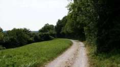 Foto Terreno Agricolo in Vendita, 1 Locale, 11124 mq, Sovizzo