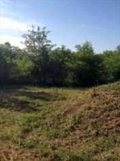 Foto Terreno Agricolo in Vendita, 1 Locale, 12155 mq, Busto Arsizio