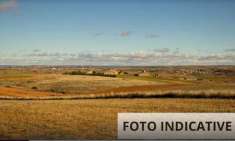Foto Terreno Agricolo in Vendita, 1 Locale, 12342 mq, Nibionno