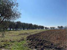 Foto Terreno Agricolo in Vendita, 1 Locale, 13136 mq, Arqu Petrarca