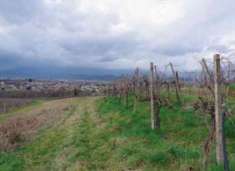 Foto Terreno Agricolo in Vendita, 1 Locale, 135182 mq, Suna (Coll