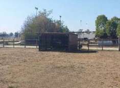 Foto Terreno Agricolo in Vendita, 1 Locale, 135375 mq, Roma