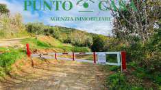 Foto Terreno Agricolo in Vendita, 1 Locale, 13600 mq, Lamezia Terme (