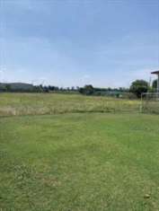 Foto Terreno Agricolo in Vendita, 1 Locale, 1390 mq, Cittadella (Facc