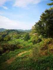 Foto Terreno Agricolo in Vendita, 1 Locale, 140085 mq, Barberino di M