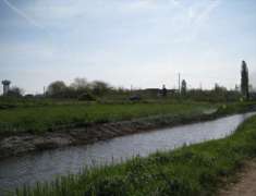Foto Terreno Agricolo in Vendita, 1 Locale, 1430 mq, Chioggia