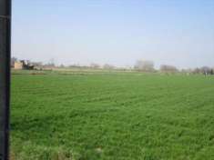 Foto Terreno Agricolo in Vendita, 1 Locale, 14314 mq, Moglia