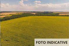 Foto Terreno Agricolo in Vendita, 1 Locale, 14720 mq, Gazzola