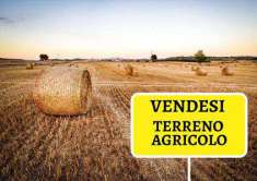 Foto Terreno Agricolo in Vendita, 1 Locale, 15000 mq, Briosco