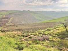 Foto Terreno Agricolo in Vendita, 1 Locale, 15150 mq, Guglionesi