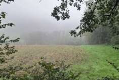 Foto Terreno Agricolo in Vendita, 1 Locale, 15350 mq, Terre Roveresch
