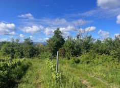 Foto Terreno Agricolo in Vendita, 1 Locale, 157149 mq, Montespertoli
