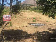 Foto Terreno Agricolo in Vendita, 1 Locale, 1600 mq, Mondragone
