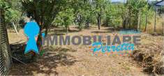 Foto Terreno Agricolo in Vendita, 1 Locale, 1661 mq, Vibonati