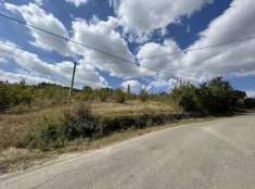 Foto Terreno Agricolo in Vendita, 1 Locale, 16858 mq, Borgo Tossignan