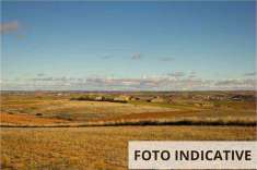 Foto Terreno Agricolo in Vendita, 1 Locale, 181842 mq, Bassano del Gr