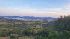 Foto Terreno Agricolo in Vendita, 1 Locale, 18500 mq, Olbia (Cabu Abb