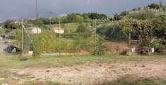 Foto Terreno Agricolo in Vendita, 1 Locale, 1895 mq, Grottazzolina