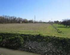 Foto Terreno Agricolo in Vendita, 1 Locale, 20080 mq, Venezia