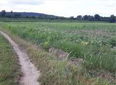 Foto Terreno Agricolo in Vendita, 1 Locale, 20709 mq, Farra d'Isonzo
