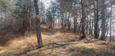 Foto Terreno Agricolo in Vendita, 1 Locale, 215163 mq, Levone