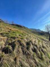 Foto Terreno Agricolo in Vendita, 1 Locale, 2190 mq, San Pellegrino T